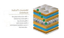 Memory Pocket 1000 Mattress 150Cm